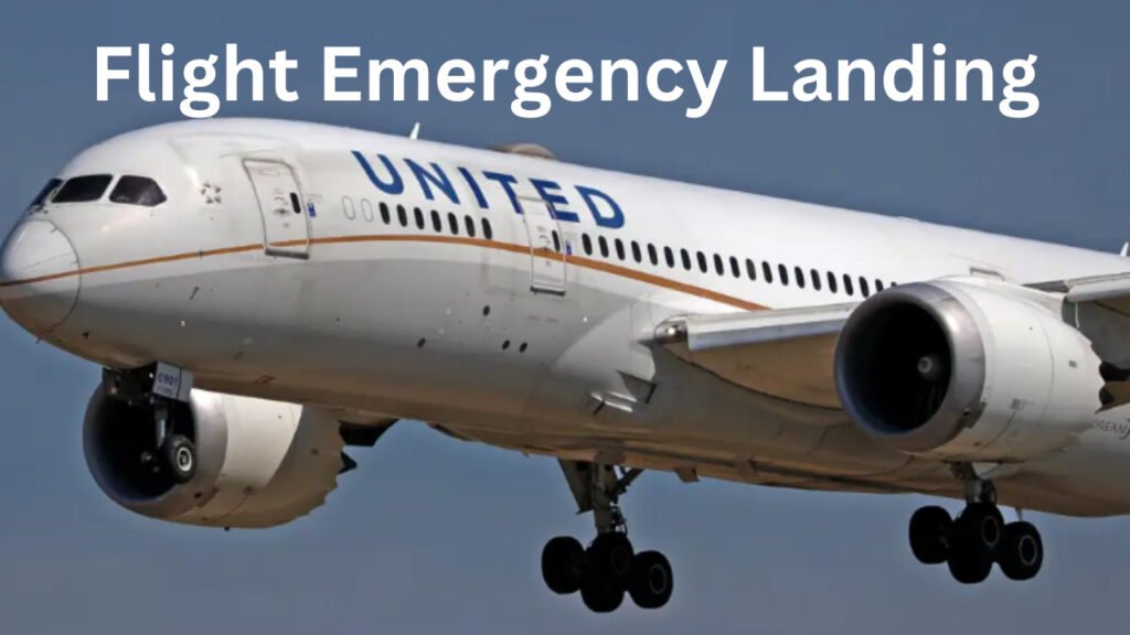 flight emergency landing