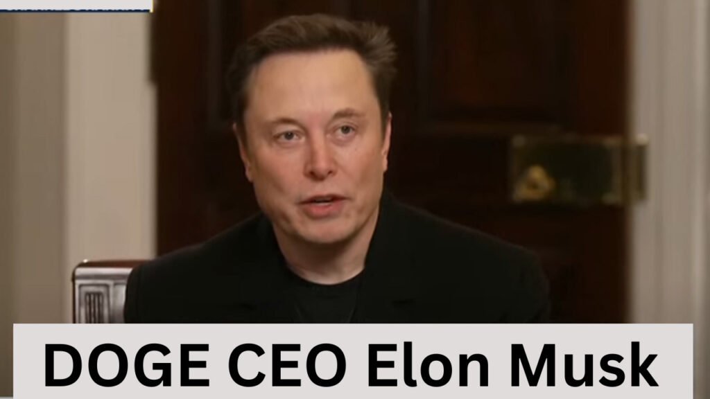 DOGE CEO Elon Musk