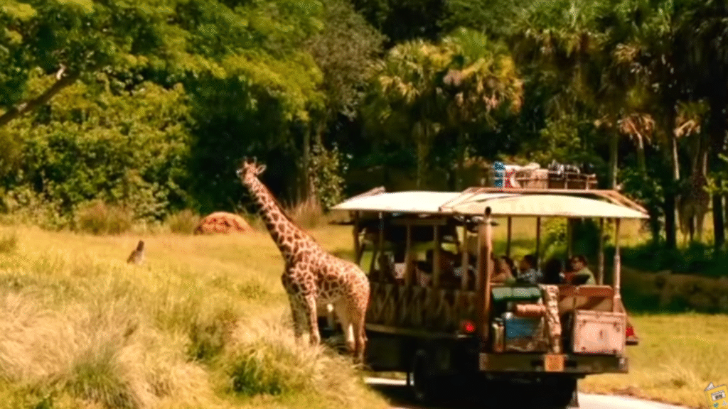 walt disney world animals